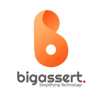 Big Assert Private Limited Logo