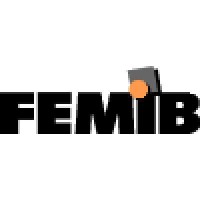 FEMIB Logo