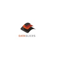 Dataslices Inc. Logo