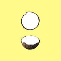 Coconut Visuals Logo