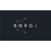 BORG5 Telecom Network Delivery Logo