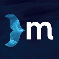 Mermaid Inc Logo