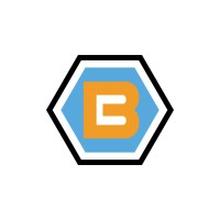 BriComp IT Consulting Services Logo