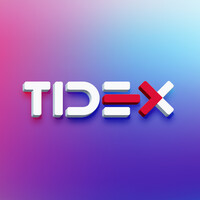 Tidex Global Logo