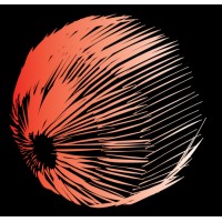 Plasticine (World Music Band) Logo