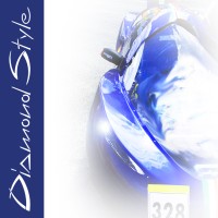 Diamond Style design&comunicazione Logo