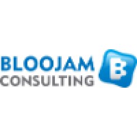 Bloojam Consulting Ltd Logo