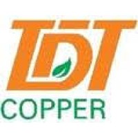 TDT Copper Ltd Logo