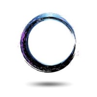 Data Enso Logo