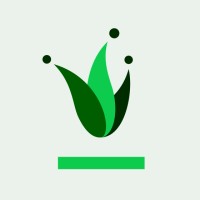 Perfect Fools Logo