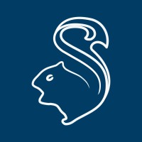 Squirreltology Logo