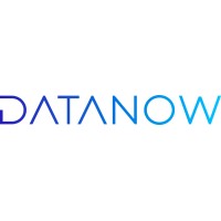 DataNow Logo