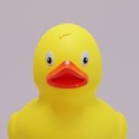 Rubber Ducky Logo