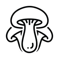 Psychedelics Integration Logo