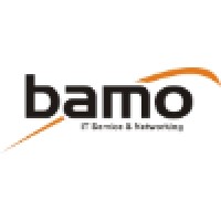 Bamo IT Service & Network Logo