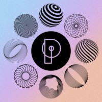 Plein Publiek Logo