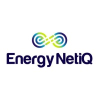 EnergyNetiQ Logo