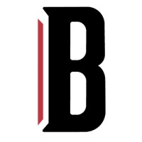 il Bollettino Logo