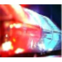 The Law Enforcement Survival Institute Logo