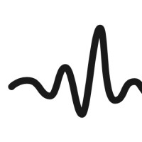 Signal To Noise Logo