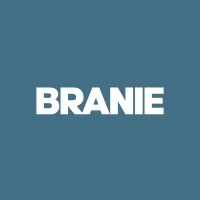 Branie IT Logo