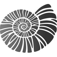 AMMONITE PROJECTS LIMITED Logo