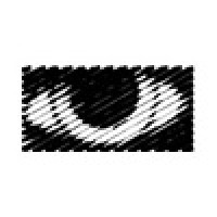 Visual Reality Logo