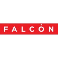 INSTRUMENTOS Y EQUIPOS FALCON S.A. DE C.V. Logo