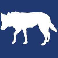 Wolff Painting & Wallpapering Logo