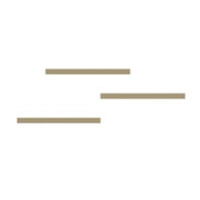 digital rapids GmbH Logo