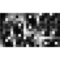 Racine Photo Arts Logo