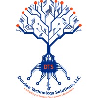 Dundee Technology Solutions, LLC Logo