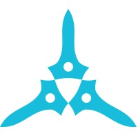 Default Software LLC Logo