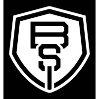 Bingham Services Inc Logo