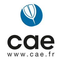 CAE - Stratégies dassurances Logo
