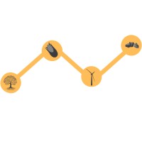 CarbonRemovalStats Logo