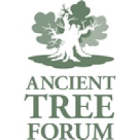 ANCIENT TREE FORUM Logo