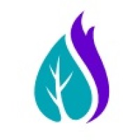 Excelsior Energy Logo