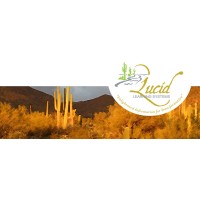 Lucid Learning Systems Logo