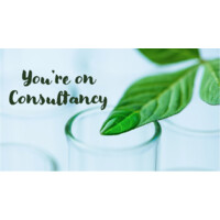 Youre on consultancy Logo