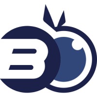 Blueberry DAQ Logo