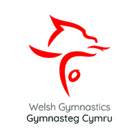 WELSH GYMNASTICS LIMITED Logo