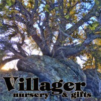 Villager Nursery, Inc Logo