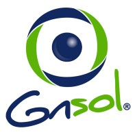 GNSOL CORP Logo