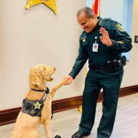 Osceola County Sheriffs Office - Sheriff Marcos R. Lopez Logo