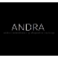 Andra - debt collection Logo