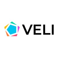 THE VELI GROUP Logo