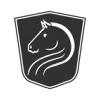 Stallion Financial Inc. Logo