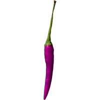 GETTING PEPPER Logo