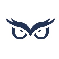 OWL CFO Consulting Logo